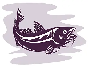 Illustration of an atlantic codfish done in retro style