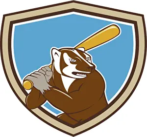 Illustration of a badger baseball player holding bat batting set inside shield crest on isolated background done