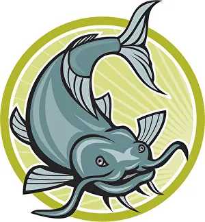 Illustration of a catfish attacking diving down about to attack set inside circle done in cartoon style