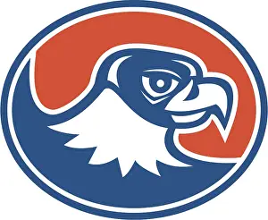 Illustration of a falcon hawk eagle bird head looking to side set inside oval on isolated background done in retro