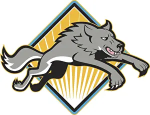 Illustration of a gray wolf jumping attacking done in cartoon style