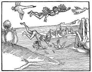 Illustration to the mirror of true rhetoric