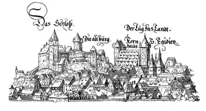 Illustration of the old castle and houses of Nuremberg