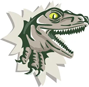 Illustration of a raptor t-rex dinosaur lizard reptile head breaking out of wall viewed from the side on isolated
