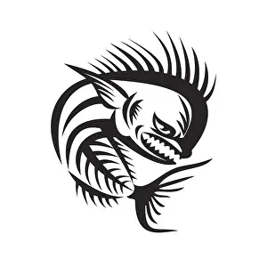 Illustration of a skeleton of an angry mahi-mahi