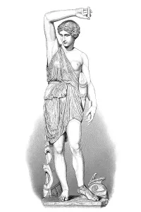 Illustration of the statue of an Amazon