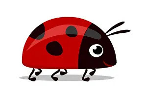 An illustration of a sweet red lady bug