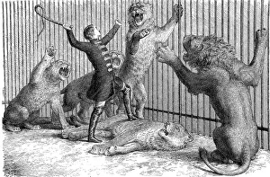 Illustration by Thomas Batty, English lion tamer and circus owner with his lions