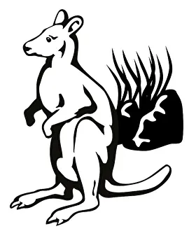 Illustration of a wallaby with long grass in the background done in black and white