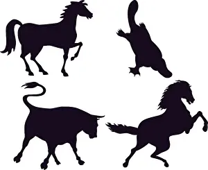 Illustration of wildlife animals silhouettes