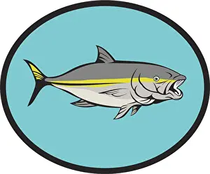 Illustration of a yellowtail kingfish viewed from side set inside oval done in cartoon style
