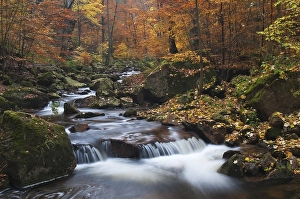 Ilse brook in autumn, rapids, Ilsetal valley