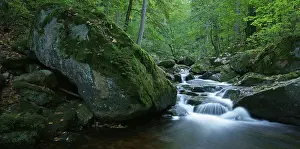 Ilse river, Harz, Ilsenburg, Saxony-Anhalt