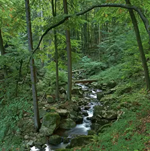 Ilse river, Harz, Ilsenburg, Saxony-Anhalt