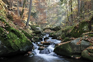 Ilse stream in the Ilsetal valley in autumn