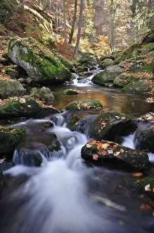 Ilse stream in the Ilsetal valley in autumn