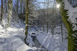Ilsenburg, Saxony-Anhalt, Germany
