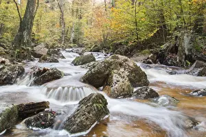 Ilsetal valley in autumn, near Ilsenburg