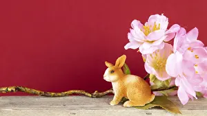 An image of an Easter decoration rabbit and cherry blossoms
