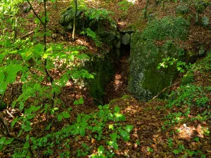 Impression from the Felsenmeer nature reserve