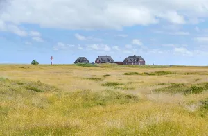Impression of Sylt, part of the North Frisian Islands in Germany