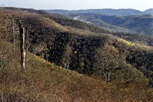 Impressive forest and hill scenery along the Blue Ridge Parkway