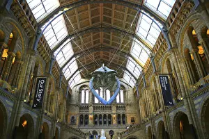 Impressive interior view of a historic building with skeleton exhibition and elaborate ceiling structure