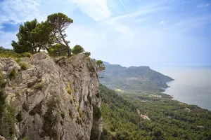 An impressive panorama of a rock face with trees above a coastline and the blue sea