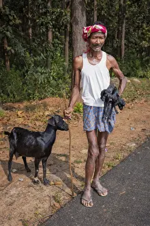 India hearder wlaking with his goats