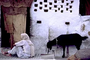 India, Rajahstan, Man and Goat