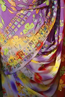 Indian embroidered dress sari