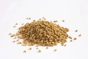 Indian spice, Fenugreek seeds Methi Trigonella foenum graecum on white background