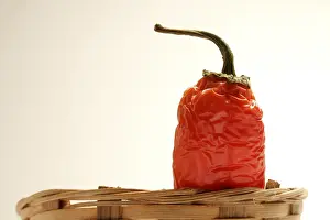 Indian spice in the form of one semi dried red pepper also known as chilly
