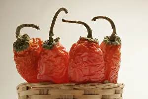 Indian spice in the form of one semi dried red pepper also known as chilly