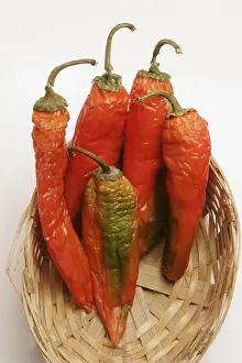 Indian spice in the form of one semi dried red pepper also known as chilly