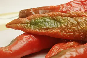 Indian spice in the form of one semi dried red pepper also known as chilly