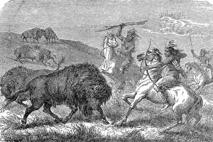 Indians hunting bison with bow and arrow