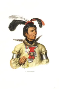 Indians, Native Americans, Winnebago or Ho-Chunk