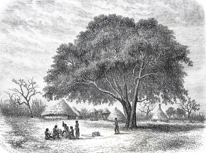 Indigenous people, Bongo village Sabbi in 1860