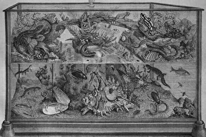 Indoor aquarium, wood engraving, c 1880