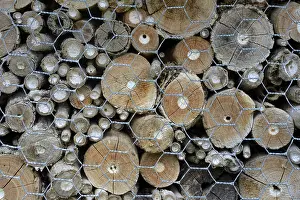 Inhabited insect hotel