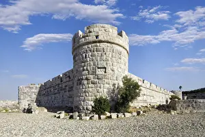 Inner fortification, olive tree