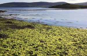 Inner Hebrides, Isle of Skye, Duirinish Peninsula