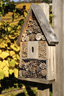 Insect hotel in vineyard, Saxony, Germany, Europe