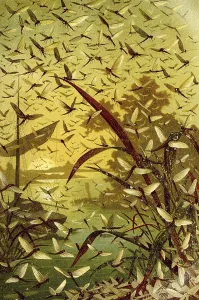 Insects, brown mayfly (Ephemera vulgata) or Brown Mayfly is a mayfly of the family Ephemeridae