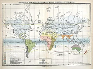 Insects, Map of the distribution of important and characteristic insects and arachnids on earth