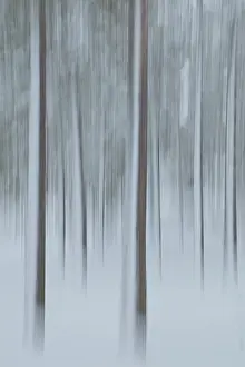 Intentional camera movement (ICM)