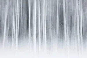 Intentional camera movement (ICM)