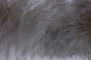 Intentional camera movement (ICM)