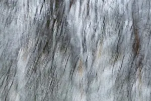Intentional camera movement (ICM)
